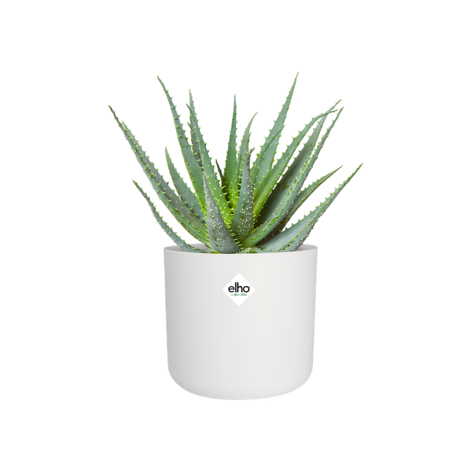 b.for soft round 22cm white